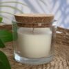 Anti-mosquito soy candle Moolea